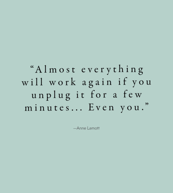 “Almost everything will work again if you unplug it for a few minutes, including you” – Anne Lamott  / what is a microbreak?